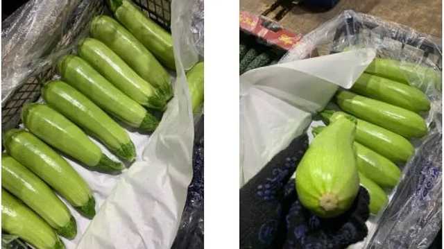 В Украину из Турции ввезли тонны кабачков с нитратами