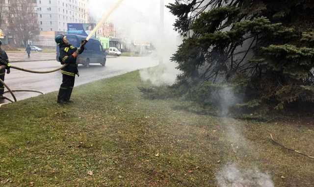 В Кривом Роге загорелась елка, очевидцы говорят о поджоге