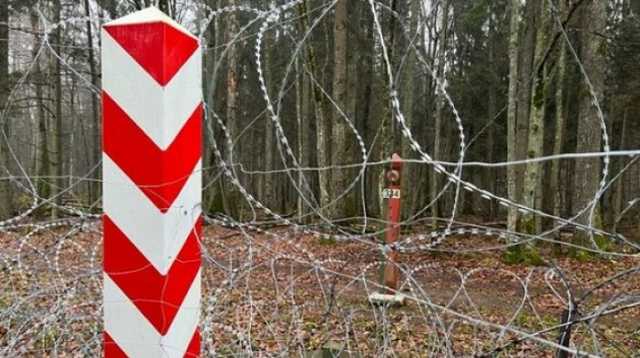 Польша за месяц насчитала почти 9 тысяч попыток мигрантов пересечь границу