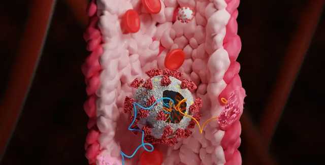 Особое излучение может убивать Covid-19 и полиовирус — израильские ученые