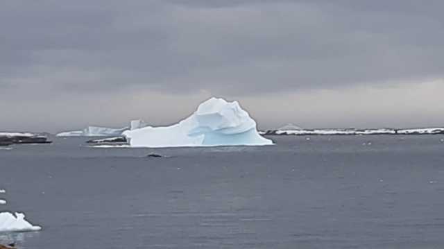 Українські полярники зафіксували в Антарктиді рідкісне природне явище
