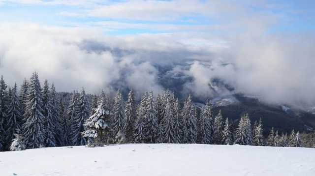 Карпаты засыпает снегом: есть угроза схождения лавин