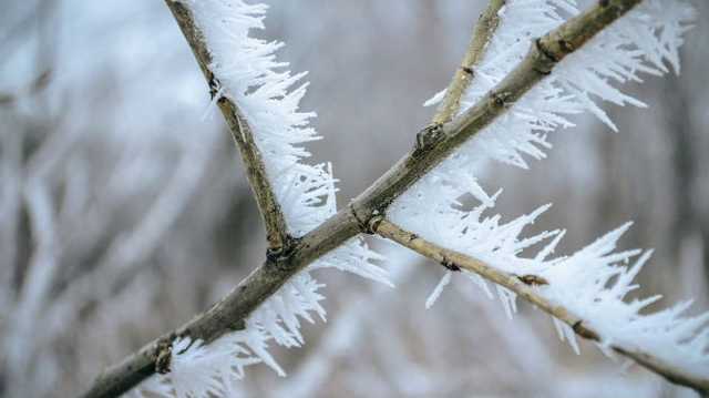 В Киевской области зафиксировано уникальное погодное явление