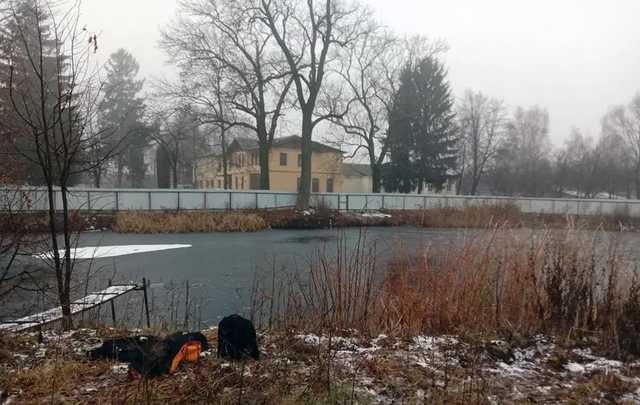 В Житомире нашли тела двух студентов на территории колледжа: подробности