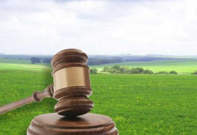 Сколько может еще длиться безнаказанность земельной банды в Николаевской области?