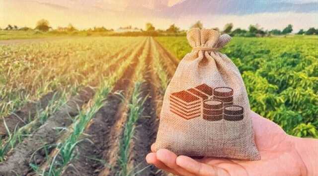 Налог на огород заставит владельцев паев продать свою землю за бесценок