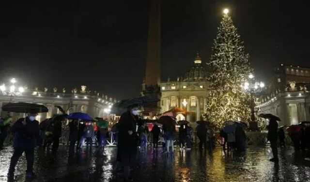 В Ватикане зажгли главную рождественскую елку