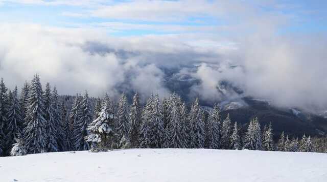 В Карпатах снегопады: есть угроза схода лавин