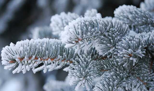 До 18° мороза: Украинцев предупредили о серьезном похолодании