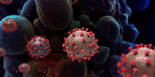    8 .   COVID-19  ,  356 