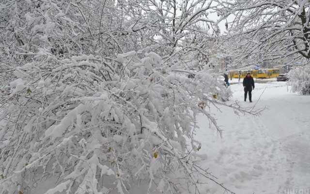 Тело нашли на стадионе: во Львовской области от переохлаждения умерла женщина