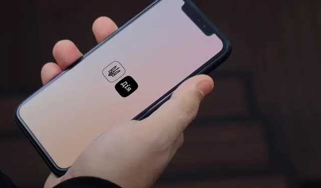 Минцифры планирует проводить в "Дие" опросы населения