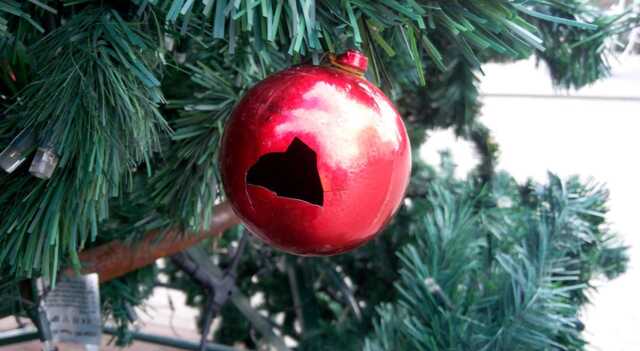 Разворовали две фотозоны, разбили украшения, украли елку: в Житомире жалуются на вандалов