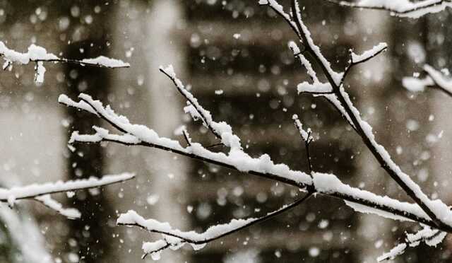 Ливни и мокрый снег: прогноз погоды на последний день 2021 года
