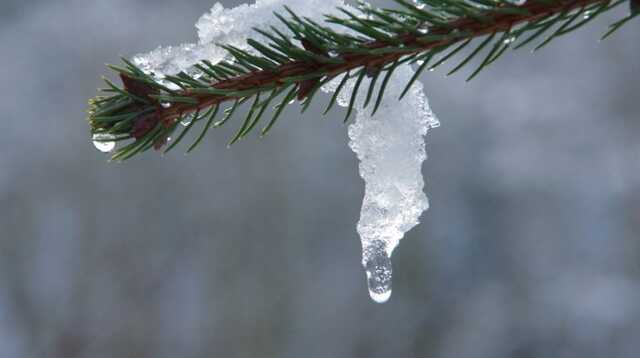 В Украине сегодня будет еще теплее: прогноз погоды