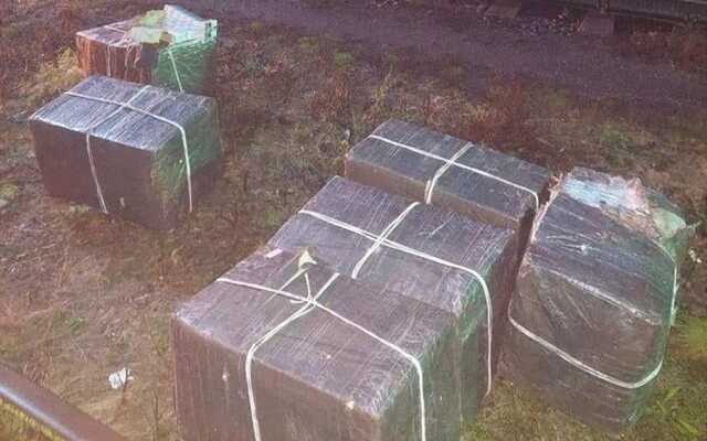 Закарпатские пограничники обнаружили в вагонах из рудой из России тысячи пачек сигарет