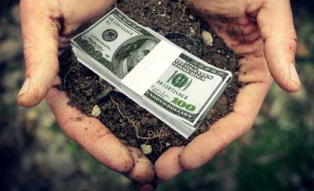 В Чернигове топ-чиновник Госгеокадастра незаконно отдал 4 га земли