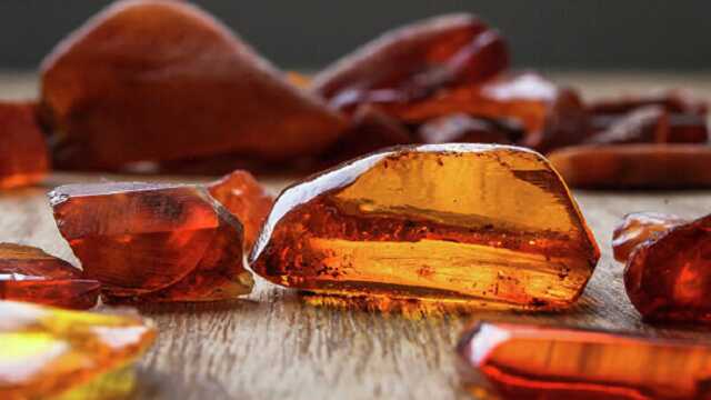 Друзья президента Зеленского захватили крупнейшие месторождения меди и янтаря