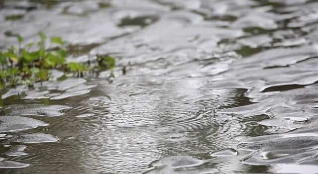 На западе Украины растут уровни воды в реках. Возможны подтопления