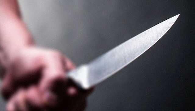 На Херсонщине женщина отрезала мужчине голову и половой орган