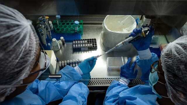 Ученые обнаружили новый штамм коронавируса