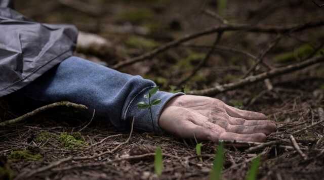 В Килии обнаружили тело женщины, изуродованное бродячими животными