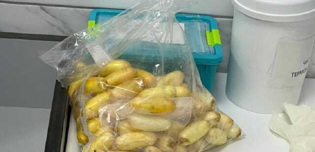 Бразилец хотел ввезти в Украину килограмм кокаина в желудке: дело направили в суд