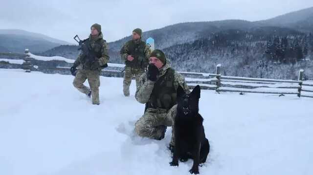 Пограничники не видят передвижения войск России вблизи украинской границы