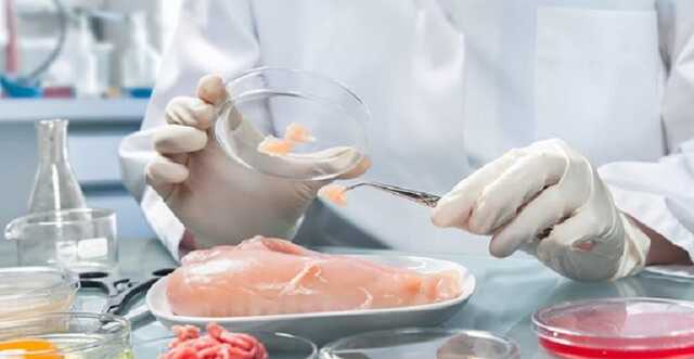 Евросоюз снял запрет на импорт курятины из Украины