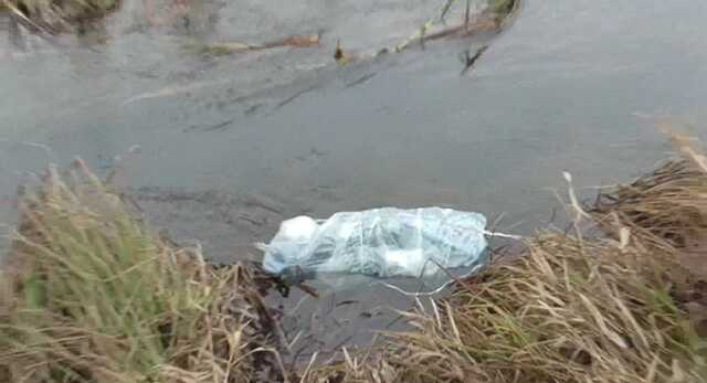 Справа правозахисниці Ірини Ноздровської: майже ідеальне вбивство