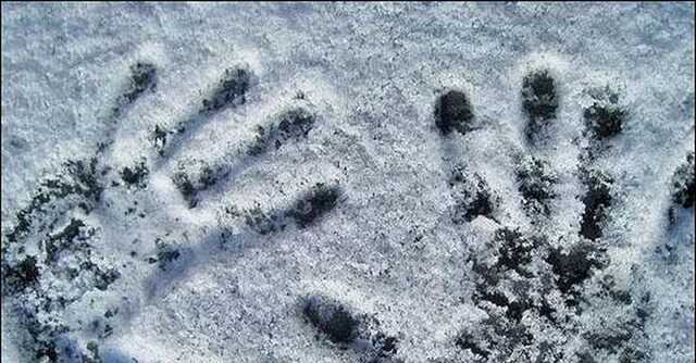 Под Черкассами в холодильной камере насмерть замерзли люди