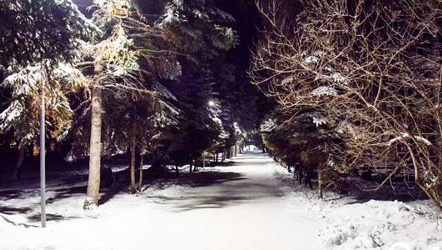 Осадки по всей стране, кроме юга и морозные ночи: погода в Украине