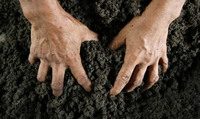 В Одессе чиновники Минобороны саботируют оформление земельных участков