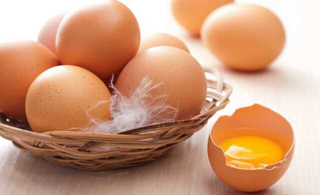 В Украине значительно сократилось производство яиц