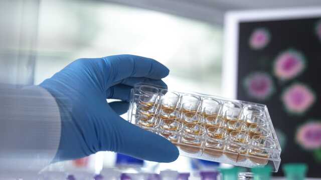 В мире циркулируют четыре варианта Омикрона: что о них известно