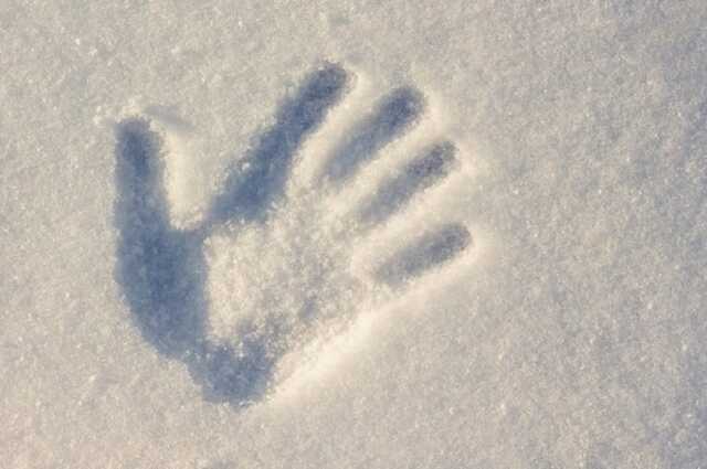 Під Луцьком на фермі знайшли тіло чоловіка