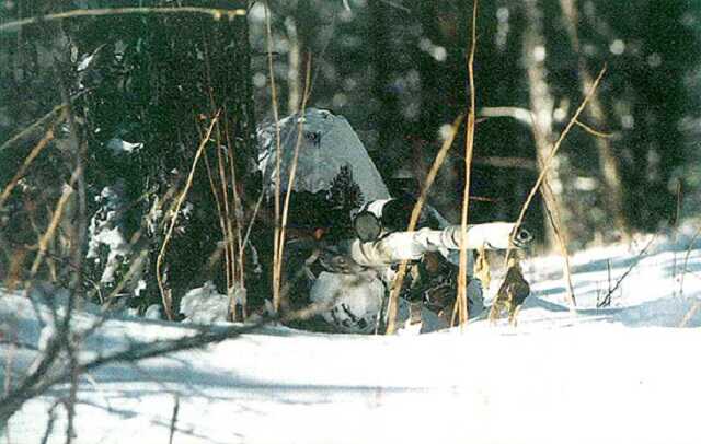 Боевики дважды обстреляли позиции ООС за сутки: один боец получил ранение