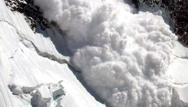 В Закарпатье на дорогу сошли две лавины