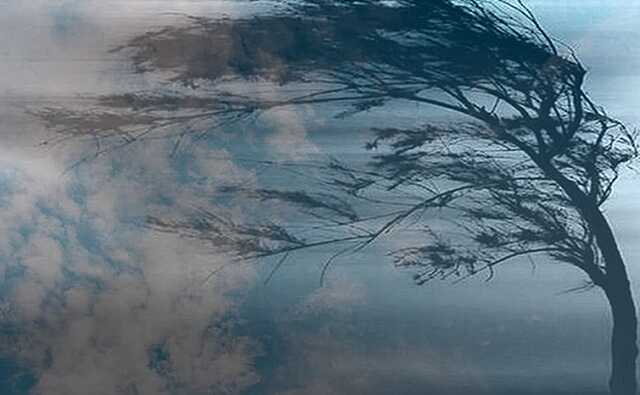 На Львовщине штормовой ветер сорвал крышу с приюта для пожилых людей