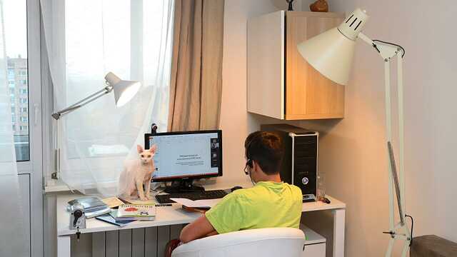 Запорожье переводит школы на "дистанционку" из-за COVID