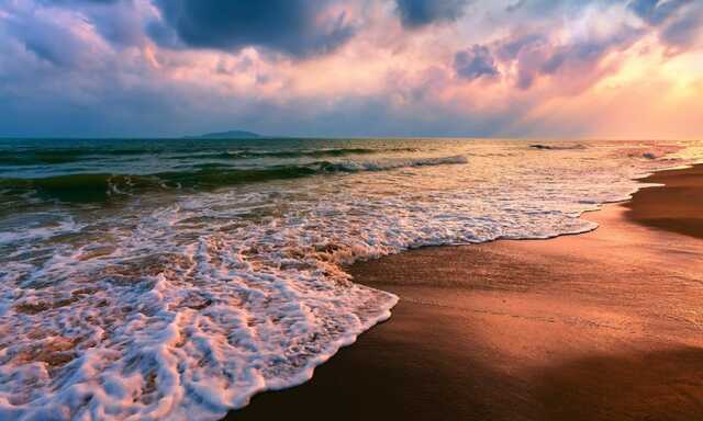 Экосистема Азовского моря под угрозой из-за рыбы-агрессора из России