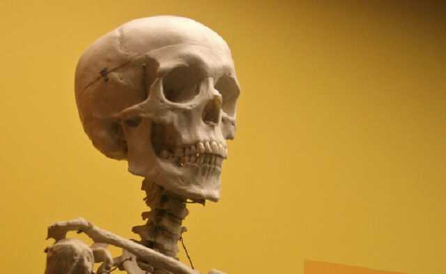 a Xepcoe oc eoea a  opoax