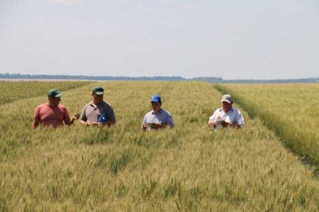 Урожай-2022: труднее всего придется фермерам