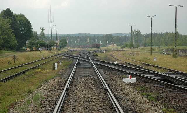 Польская железная дорога разрешила украинцам бесплатно пользование поездами