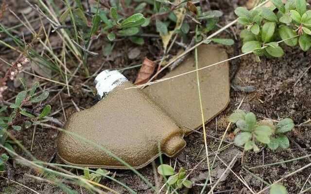 Оккупанты используют в Харькове кассетные бомбы с минами "Лепесток", - Венедиктова