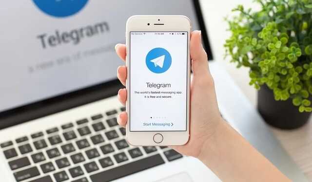 Созданы Telegram-каналы глав обладминистраций: для противодействия дезинформации