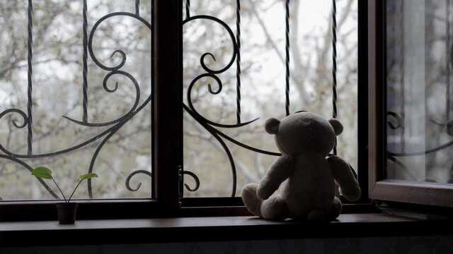 В Ворзеле остается очень много детей, неизвестна судьба детдома, – депутат