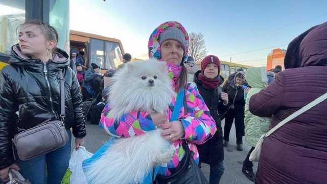 Эвакуационная колонна из Бучи прибыла в Белогородку: люди приехали с домашними питомцами