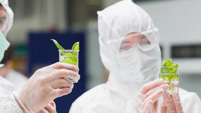 Российские биологи выступили с коллективным опровержением фейка о "химическом оружии" в Украине