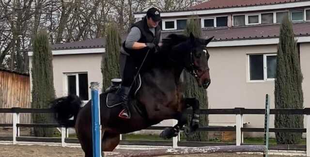 Российские войска уничтожили конюшню в Гостомеле: лошади сгорели заживо